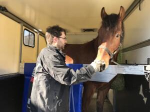 Der Chef reist von der Klinik nach Hause.
