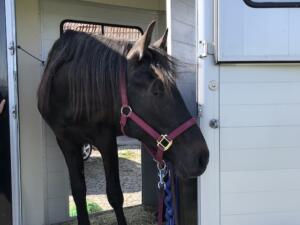 Frontaustieg ist eine feine Sache.